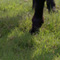 correze07_01.jpg