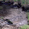 correze07_04.jpg