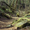 correze07_06.jpg
