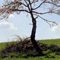 correze07_10.jpg