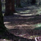 correze07_11.jpg