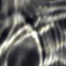 20060511_23a.jpg